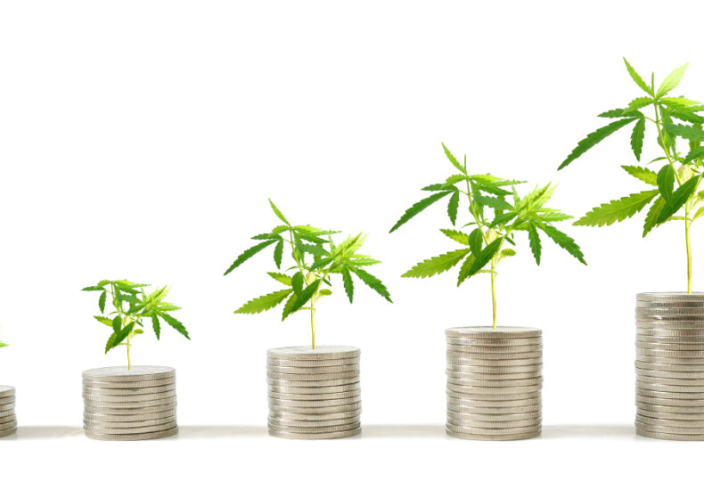 Is Cannabis Worth Its Weight In Stock Market Gold
