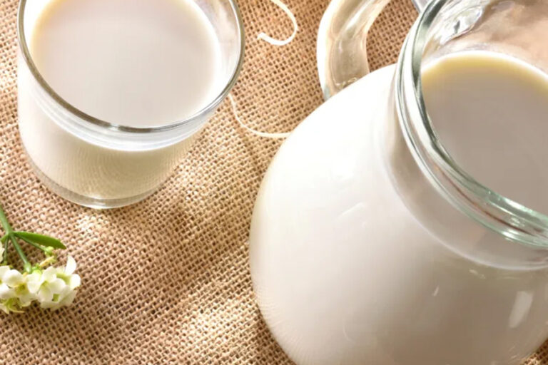 Cannamilk extraction technique