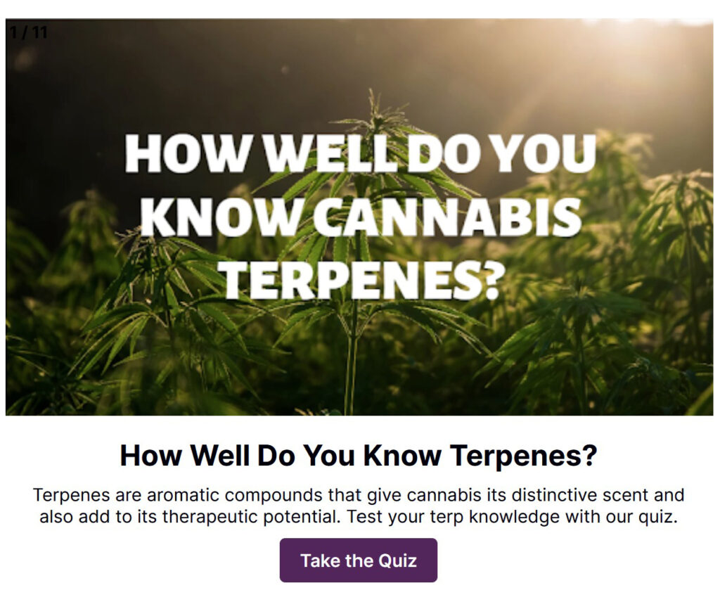 Cannabis Terpenes Quiz