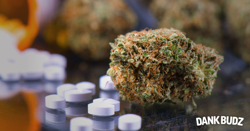 Why Cannabis and Over-the-Counter Meds Don’t Mix