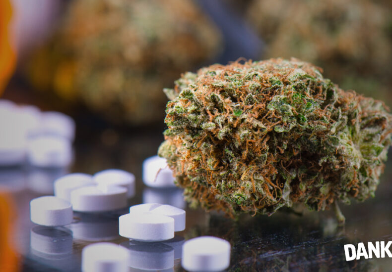 Why Cannabis and Over-the-Counter Meds Don’t Mix