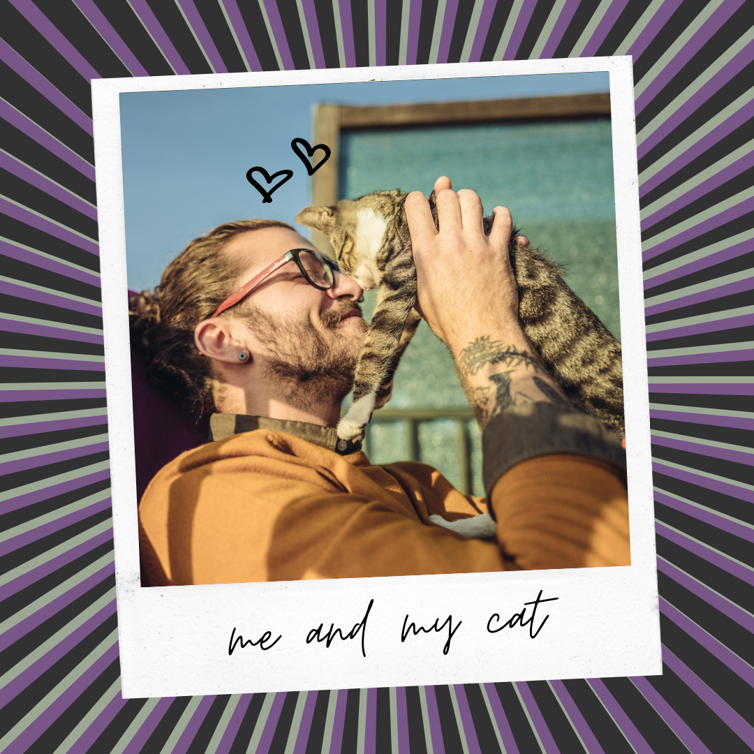 What Benefits do Cats Get from Cat Hemp Treats?