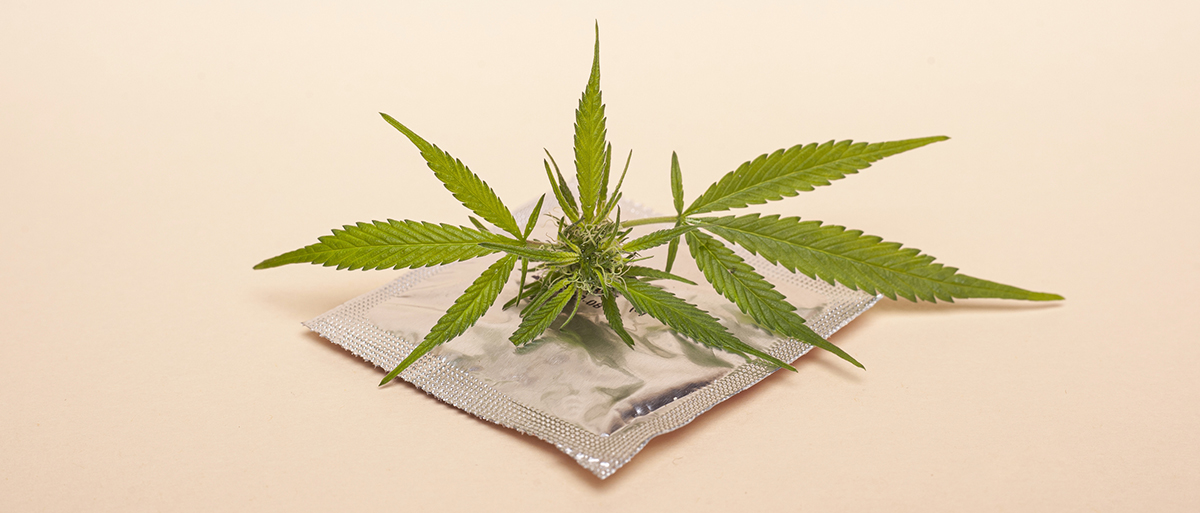Cannabis and Sex