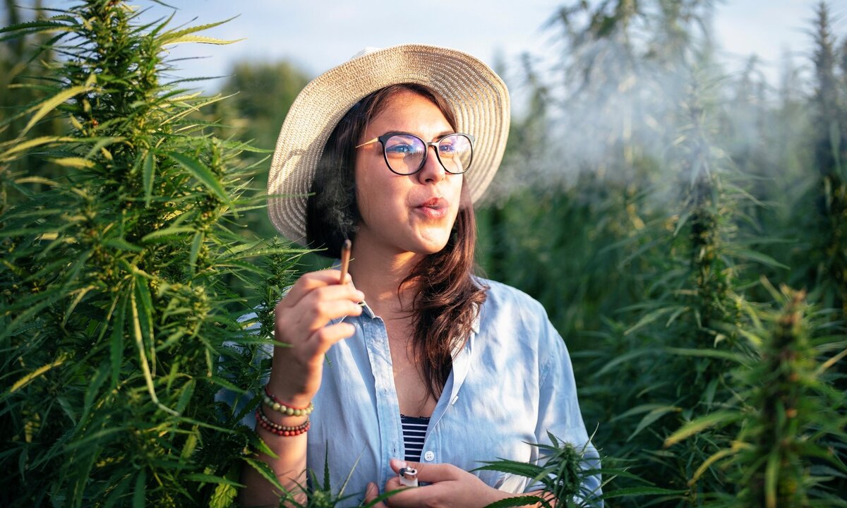 Choose the Right Cannabis Strain