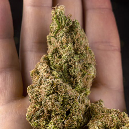 Girl Scout Cookie Strain