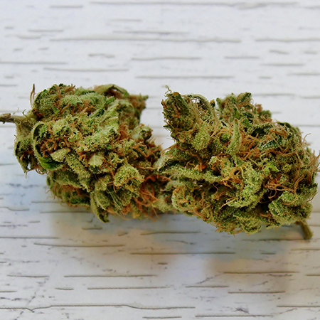 Golden Goat Strain
