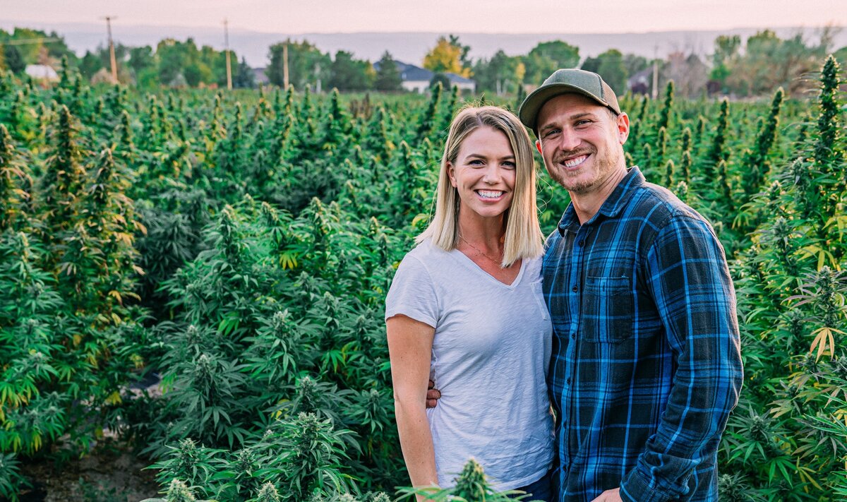 A New Era for Cannabis