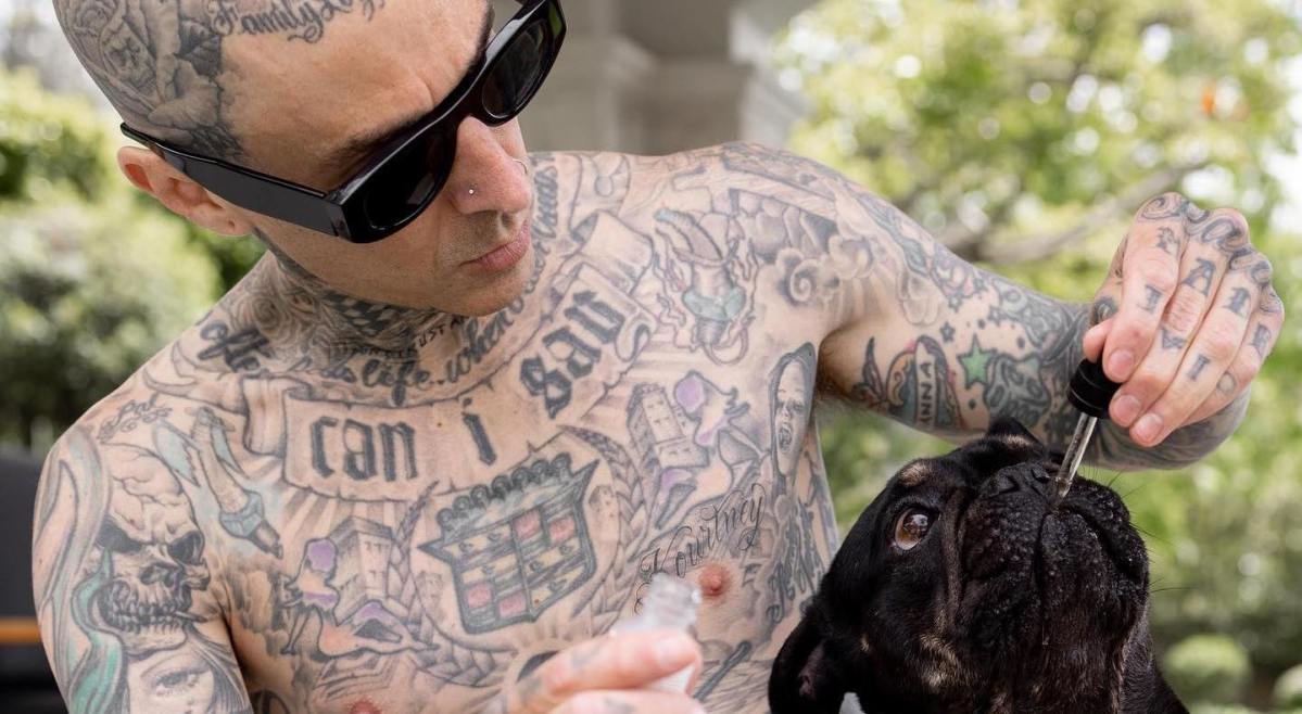 Travis Barker CBD for Dogs and Cats