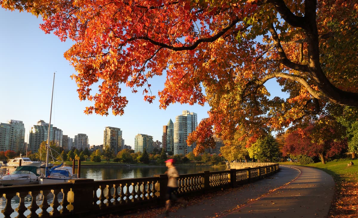 Vancouver Destinations for Cannabis Lovers