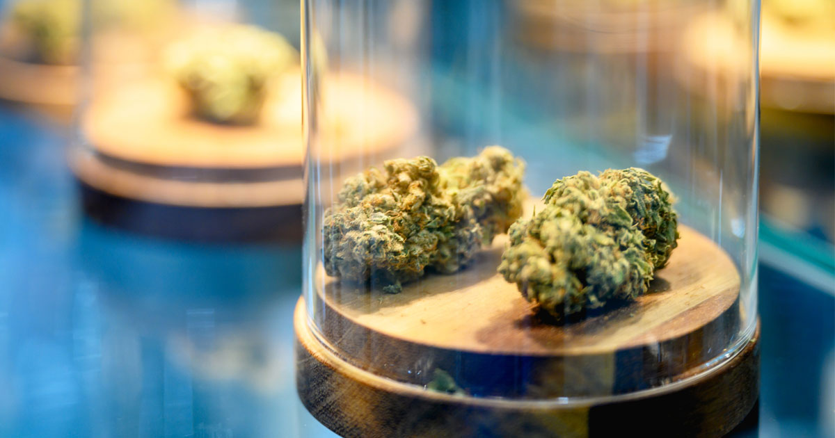  Find the Best Strain For You