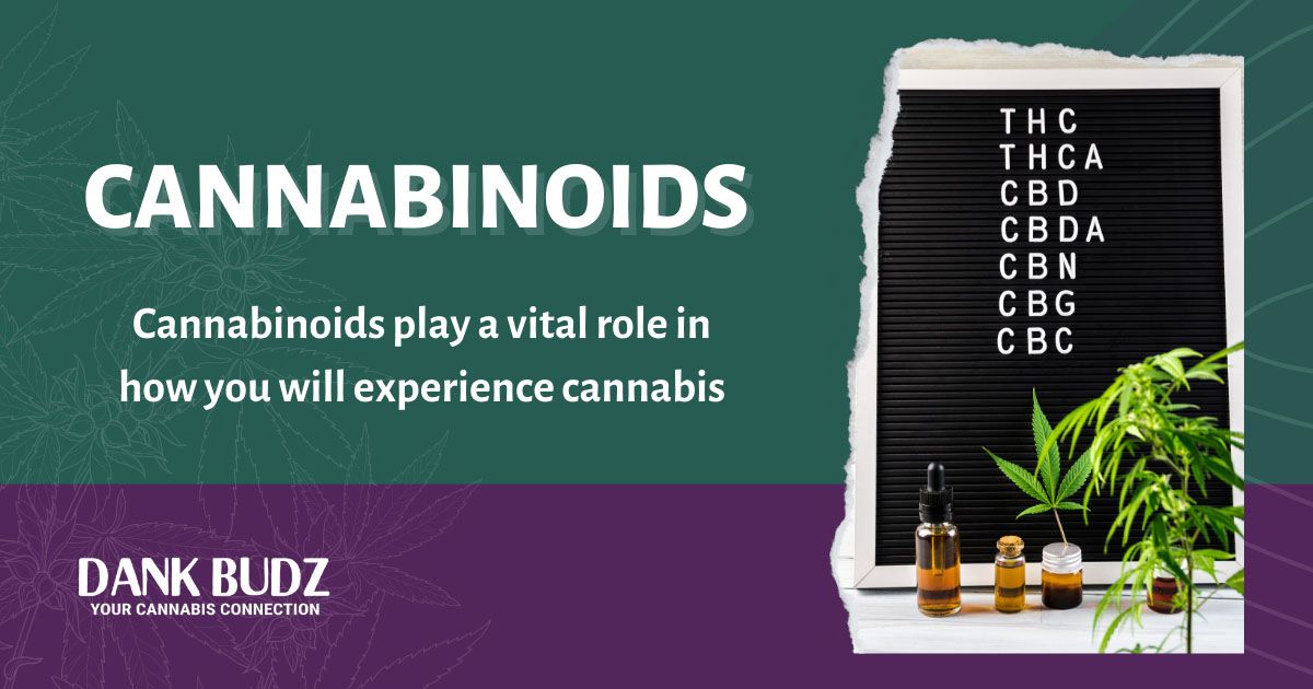 Cannabinoids