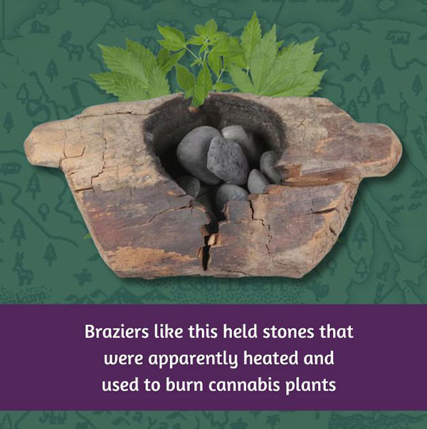 Cannabis in Ancient Cultures