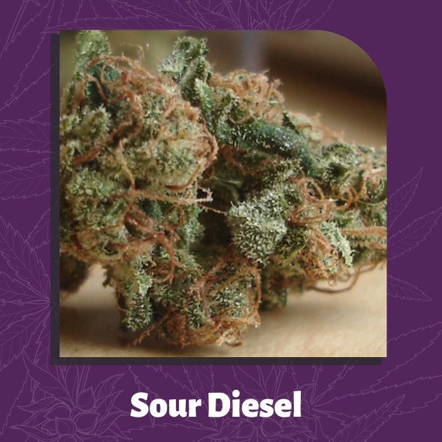 Sour Diesel