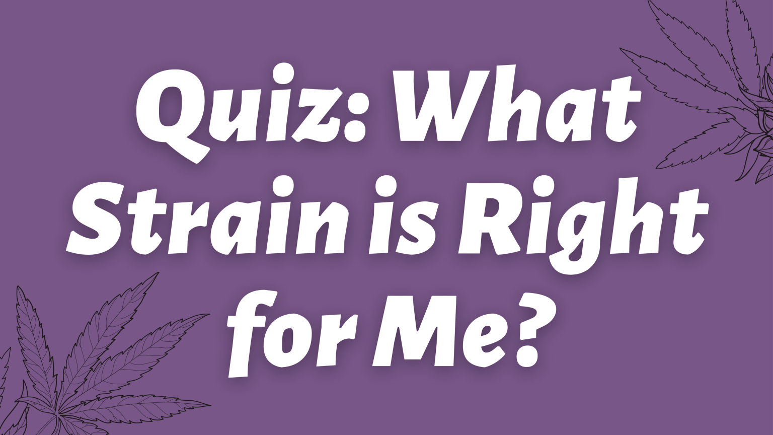 Quiz What Strain is Right for Me
