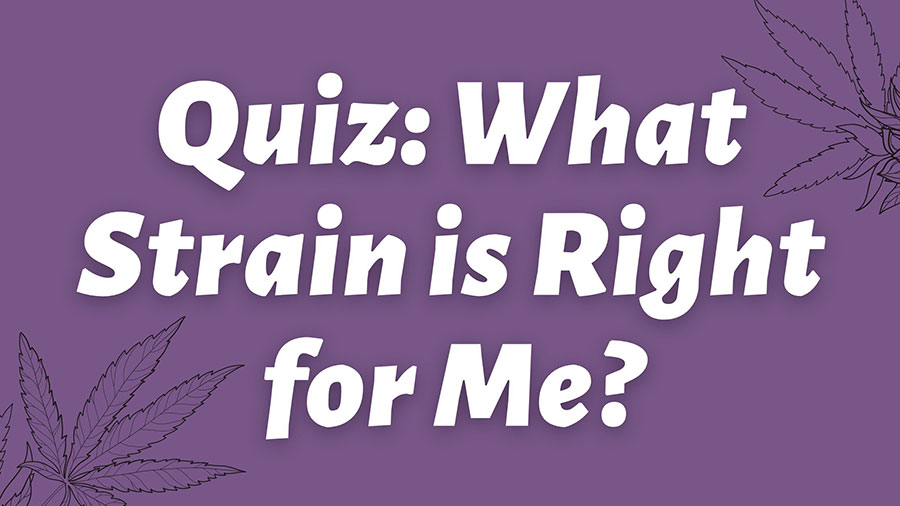 Quiz What Strain is Right for Me