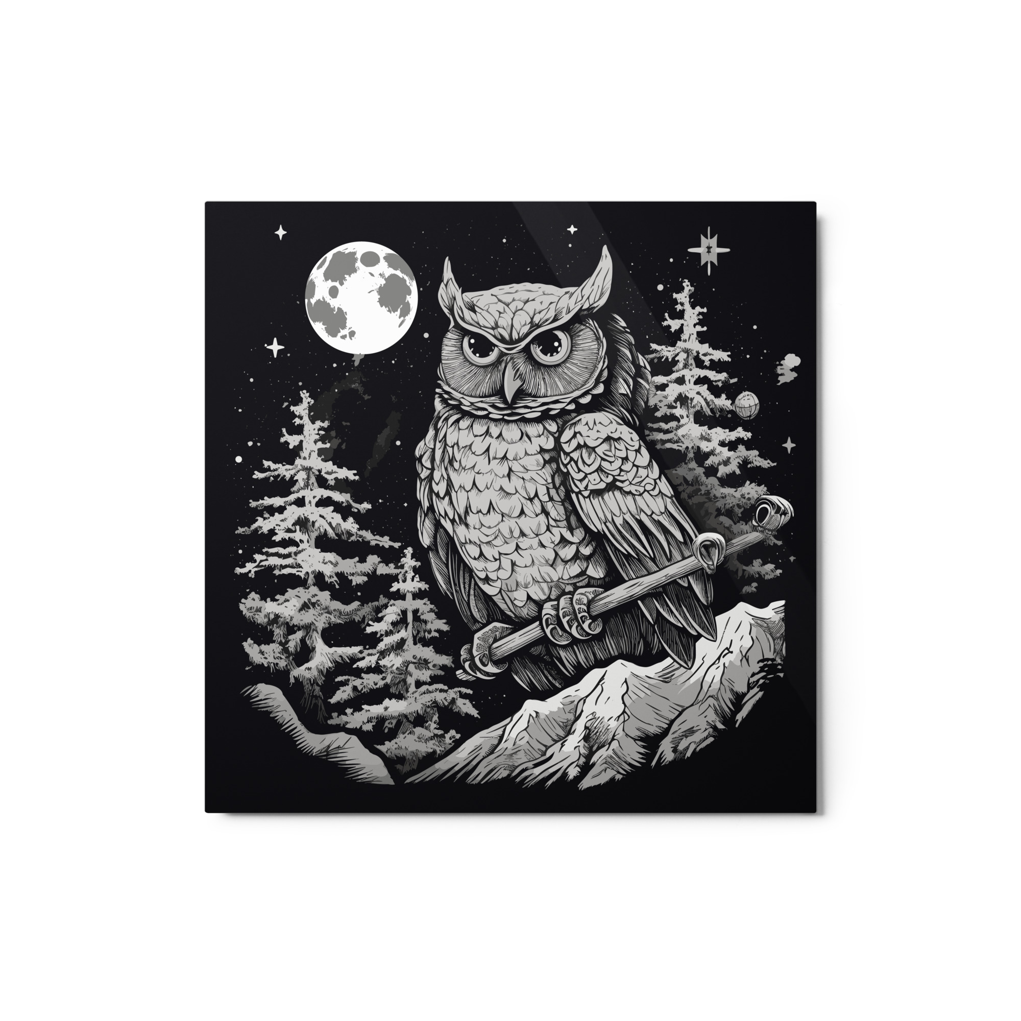 Black and White Owl – Metal Print