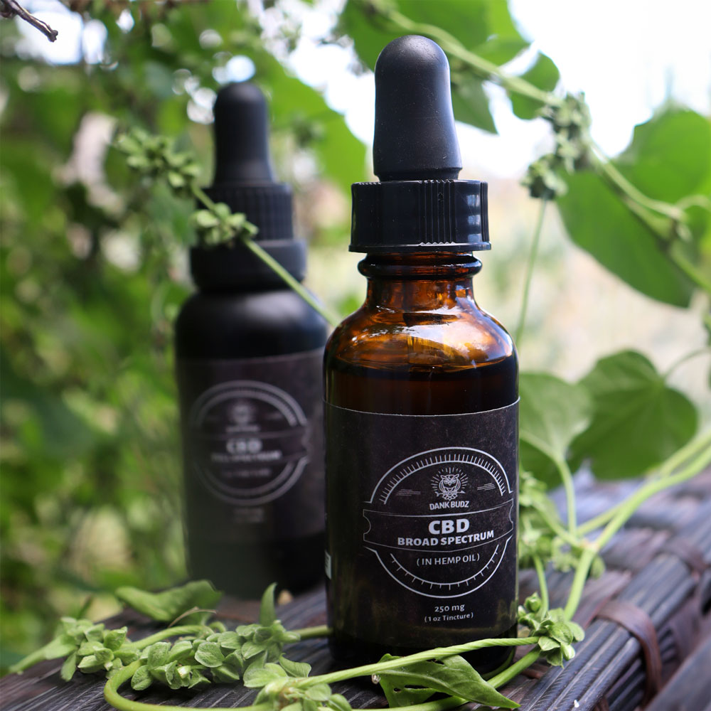 Broad Spectrum CBD in Hemp Oil (250mg) - Image 2