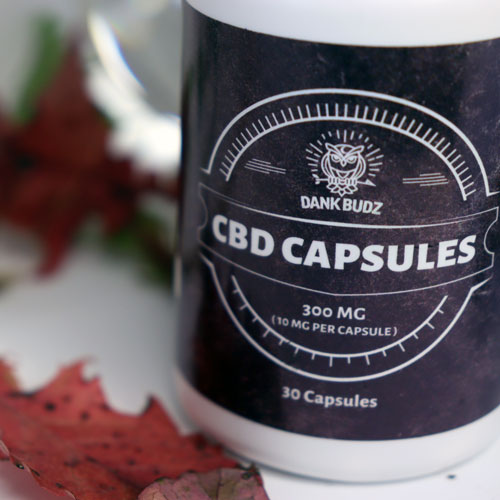 Premium CBD Capsules (300mg) - Image 3