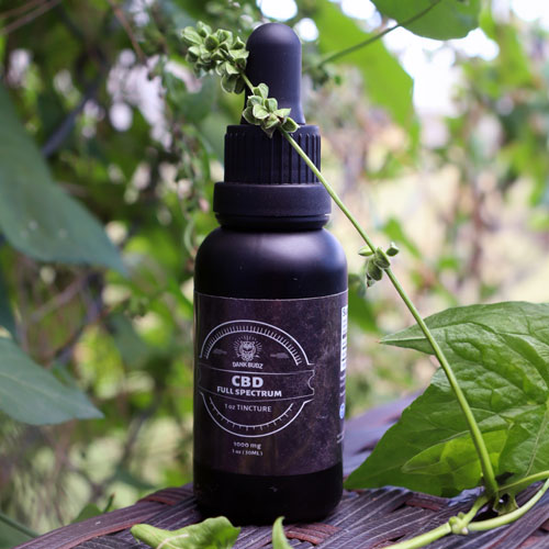 Full Spectrum CBD Tincture (1000mg) - Image 3