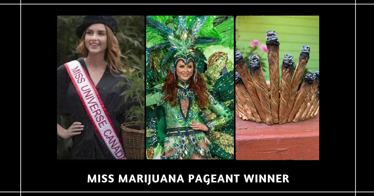 Miss Marijuana Pageant Winner