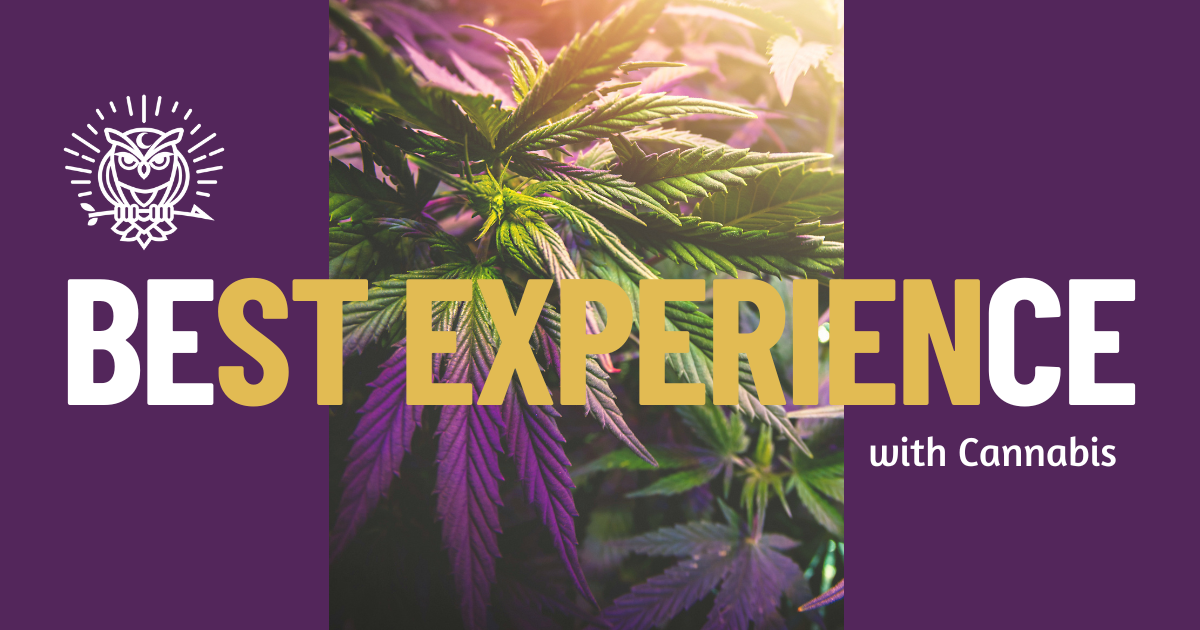 Best Experience with Cannabis