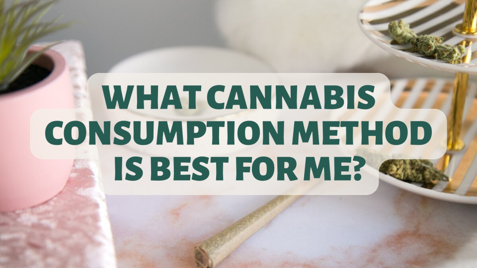 Quiz: What Cannabis Consumption Method is Best for Me?
