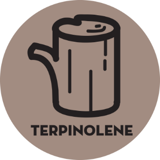 Terpinolene