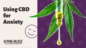 CBD For Anxiety