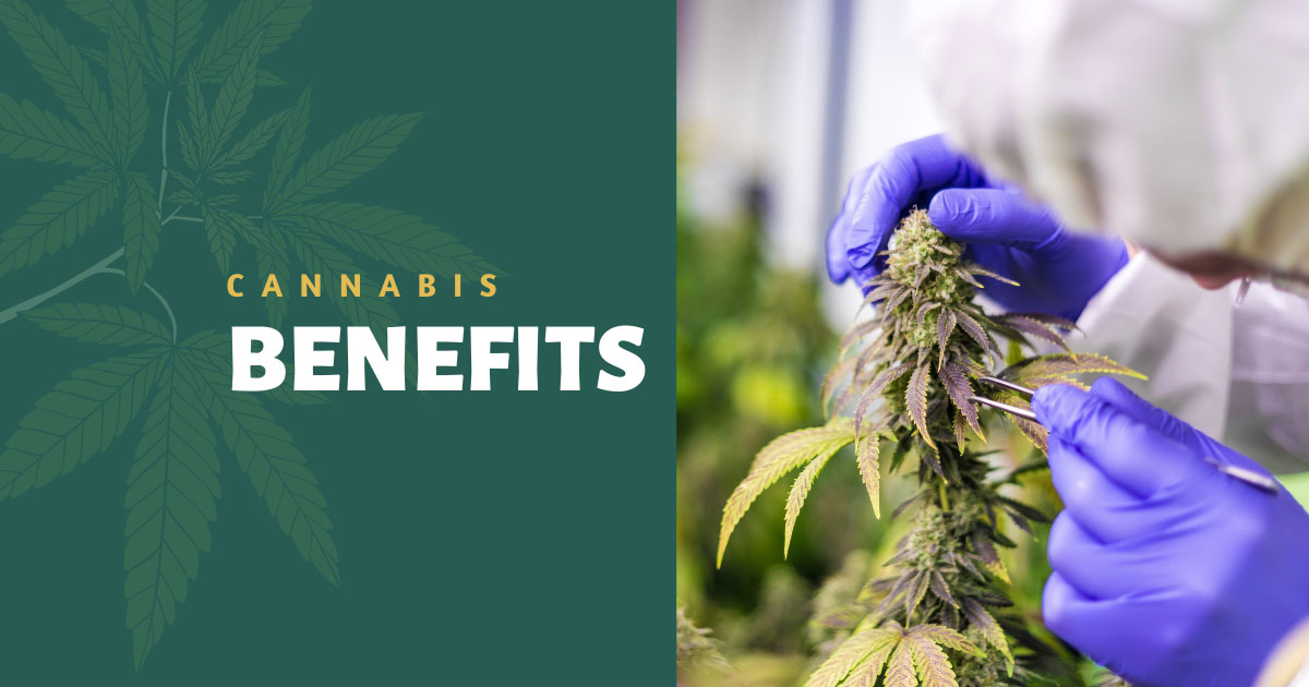 Benefits of Cannabis