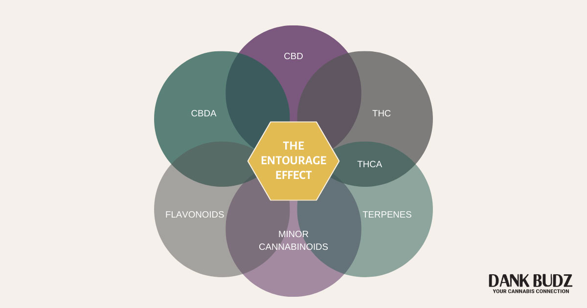 The Entourage Effect