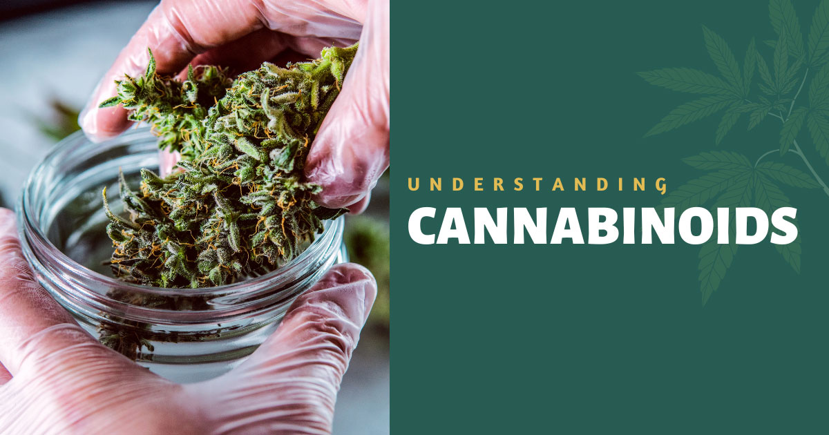 Cannabis Cannabinoids