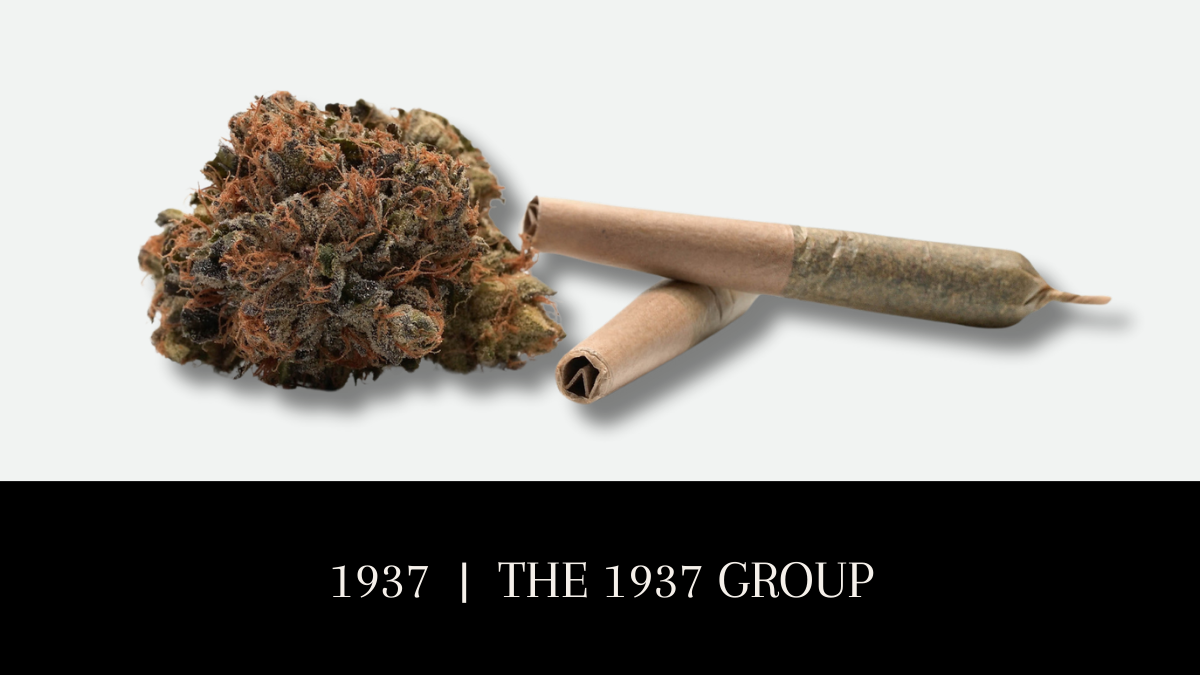 1937 Cannabis Brand