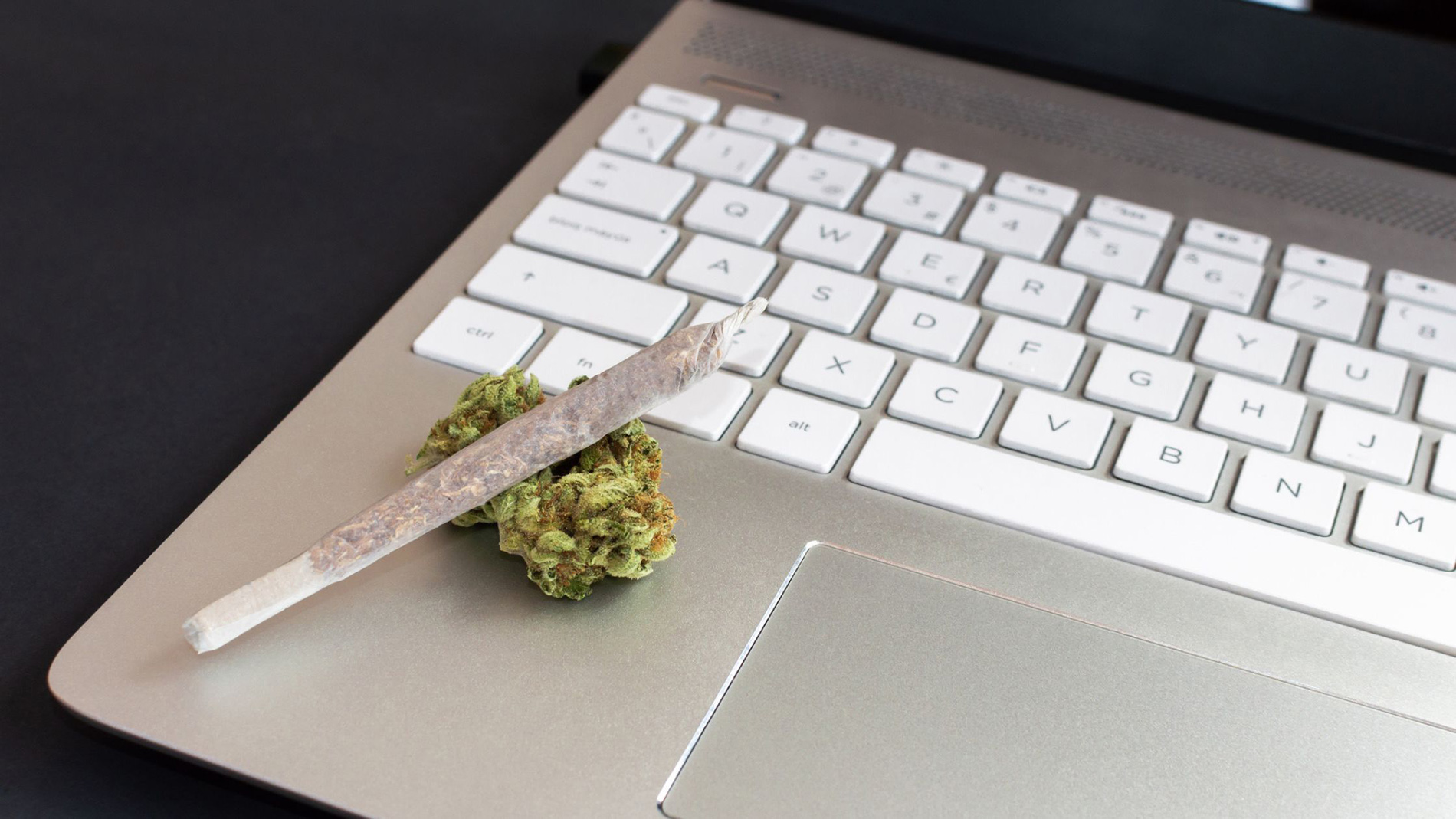 Latest Cannabis News