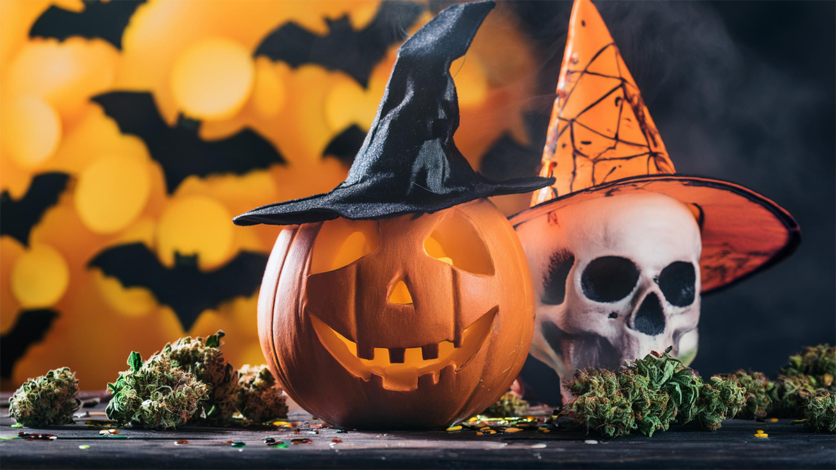 Festive Holiday Guide