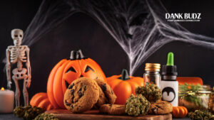 Halloweed Holiday Guide