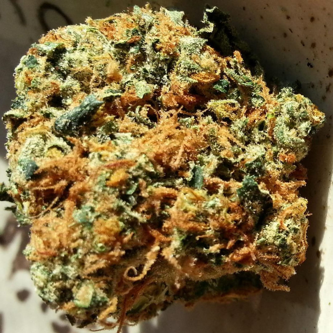 Pumpkin Spice Kush