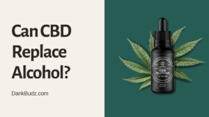 Can CBD Replace Alcohol