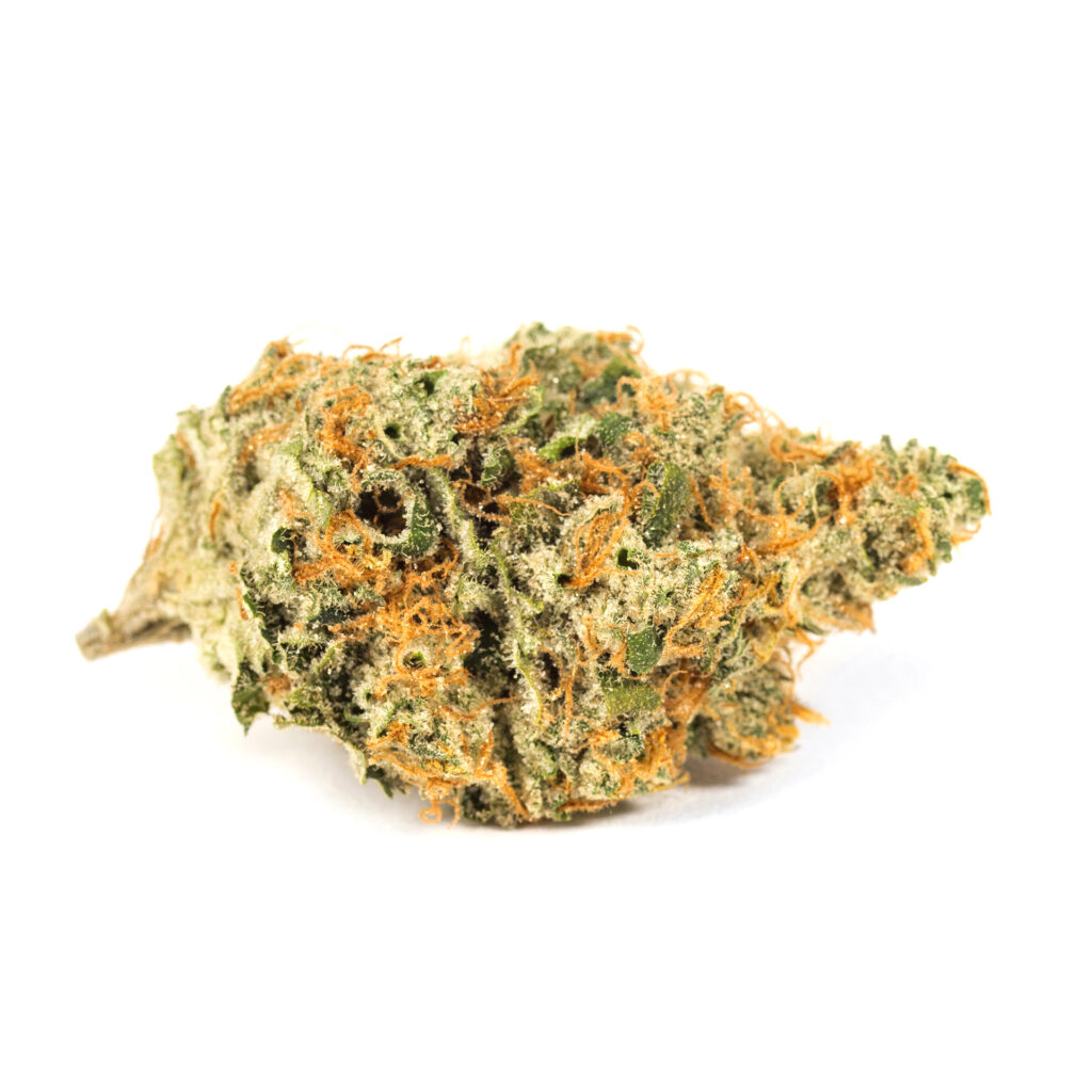 Jenny Kush Strain