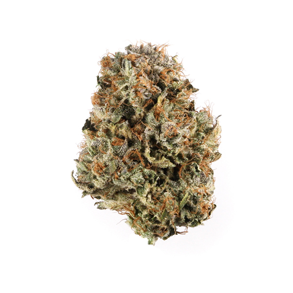 Pink Panties Strain