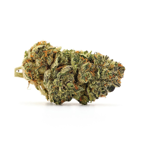 Purple Urkle Strain