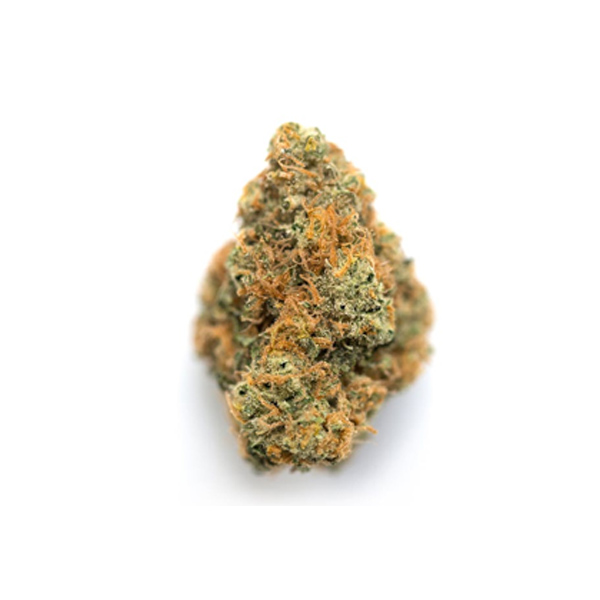 Rockbud Strain