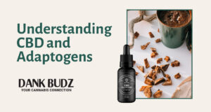 Understanding CBD and Adaptogens