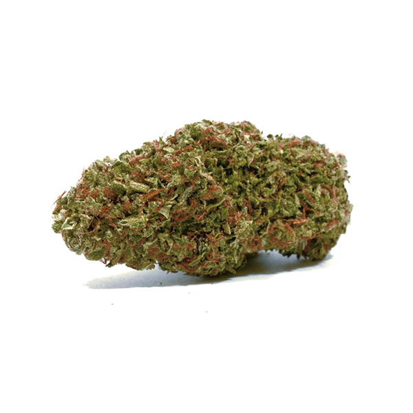 Big Skunk Korean Strain