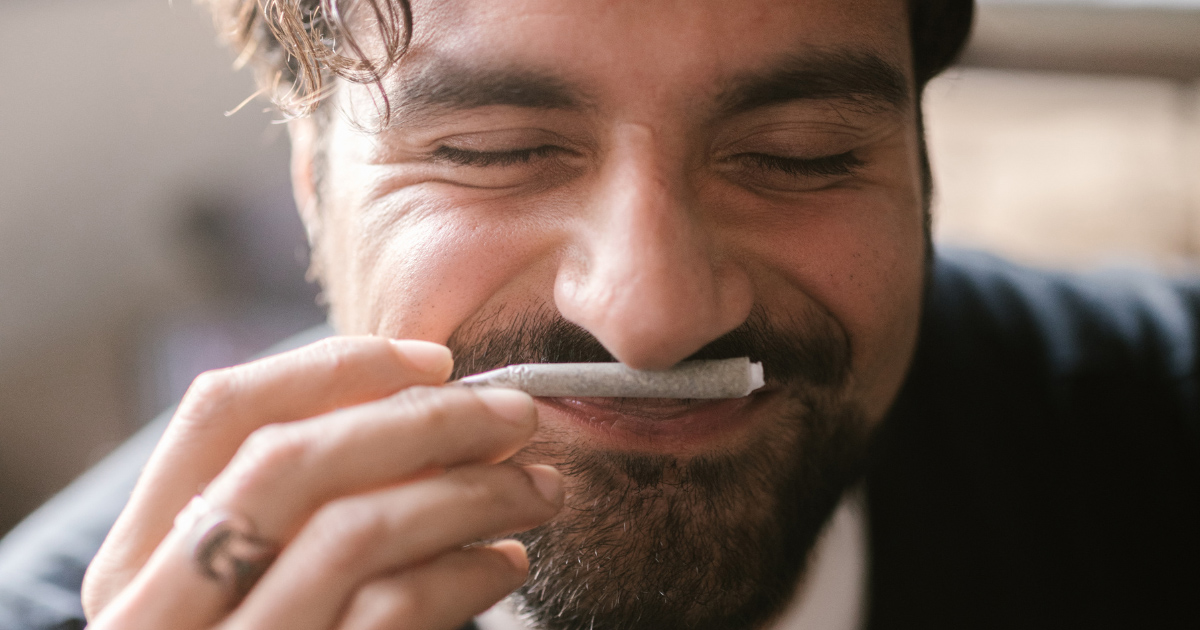 Guy Smelling Cannabis Joint for Terpenes