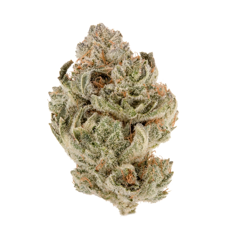 Romulan Strain