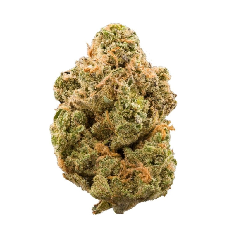 Skywalker Strain