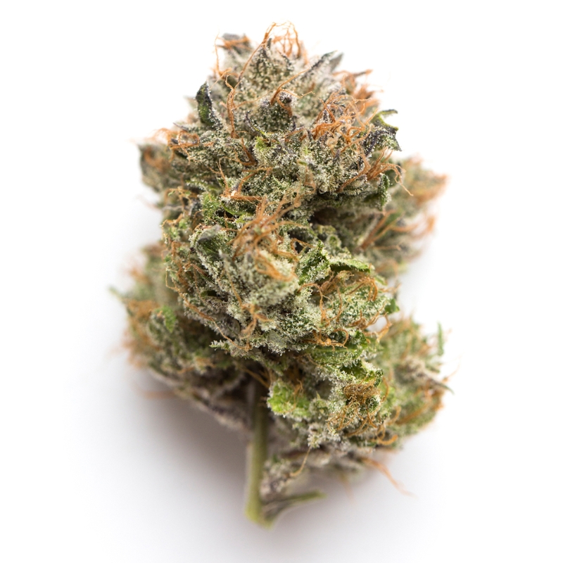 Ultimate Purple Strain