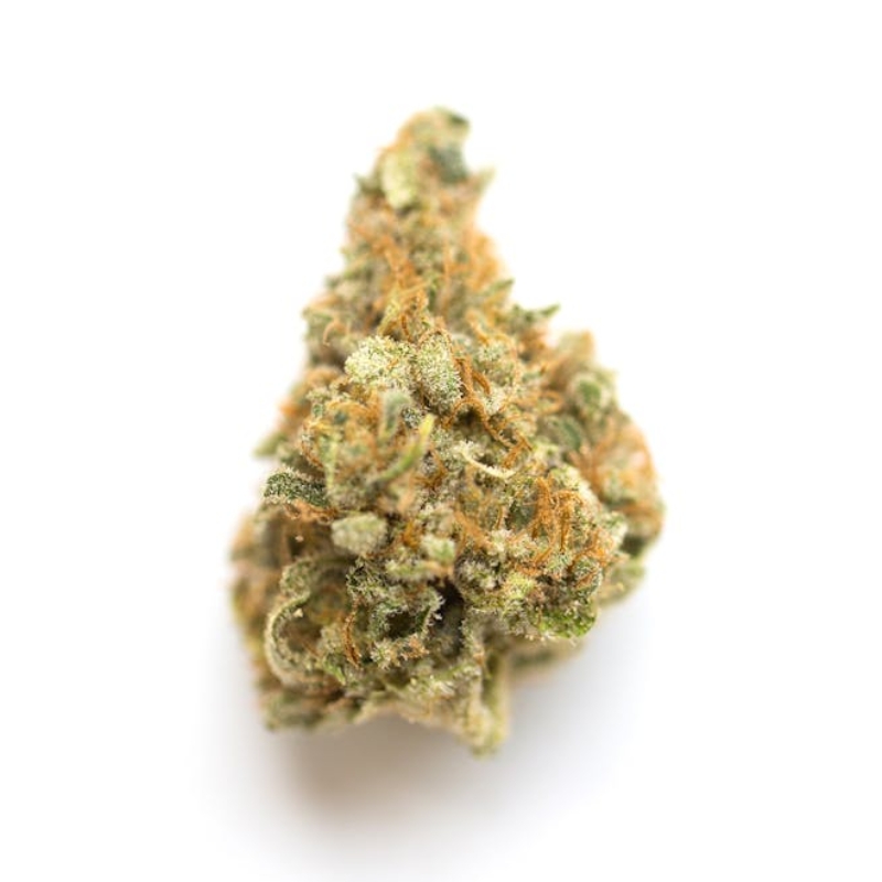 Zero Gravity Strain