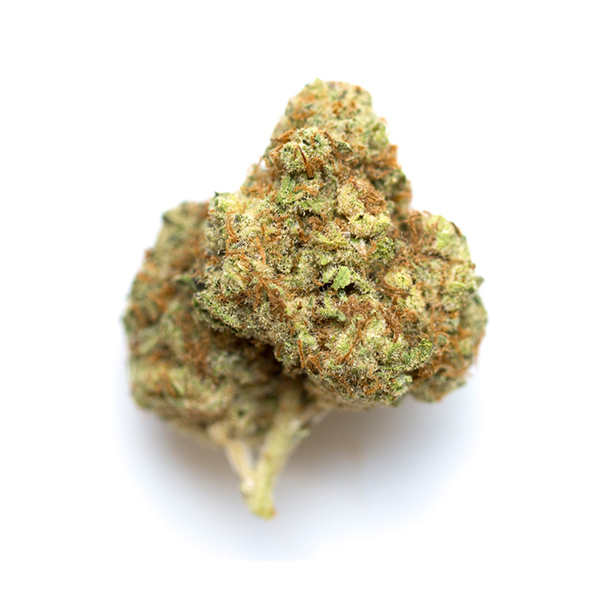 Watermelon Strain
