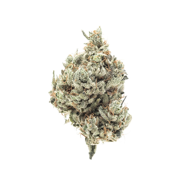 XXX Strain